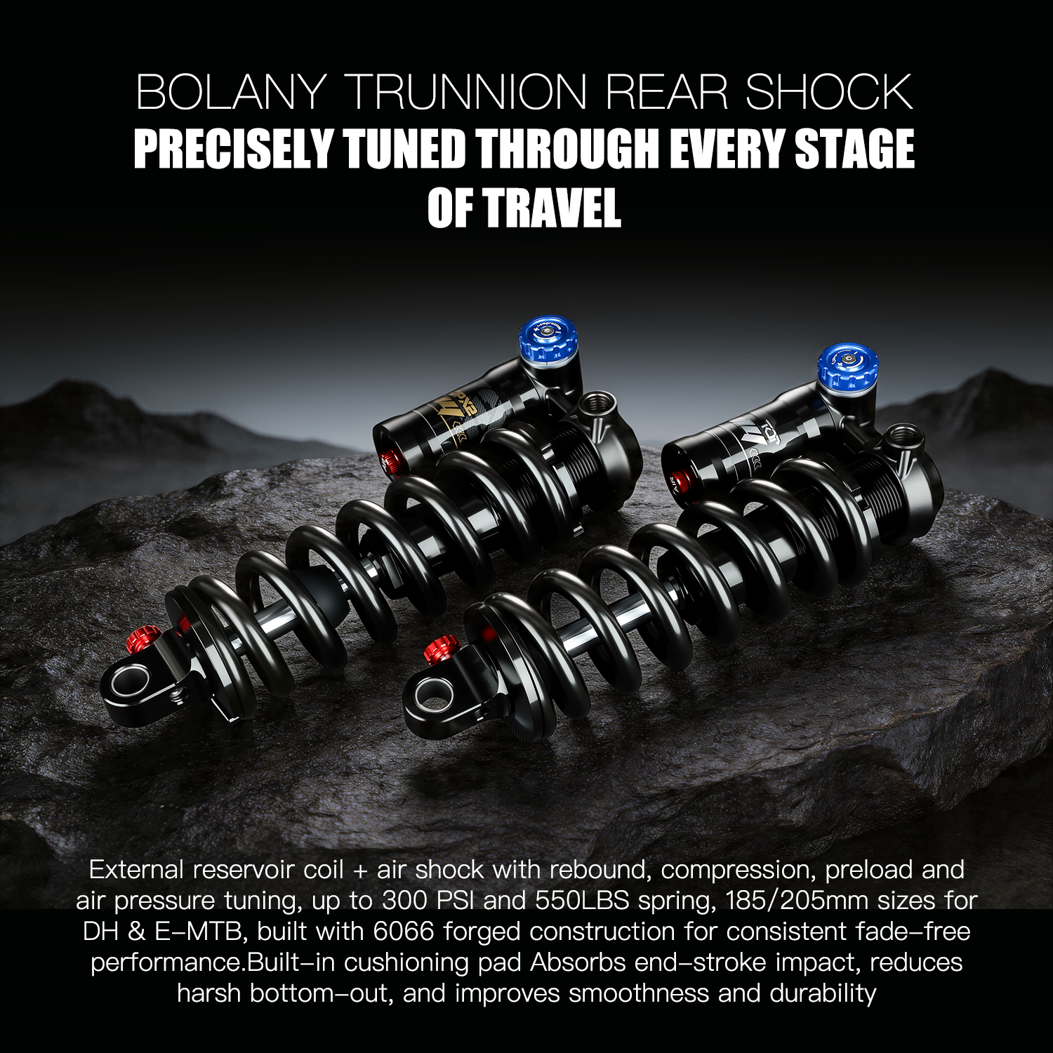BOLANY MTB Spring-Air Trunnion - Mountain Biking Downhill avis et prix