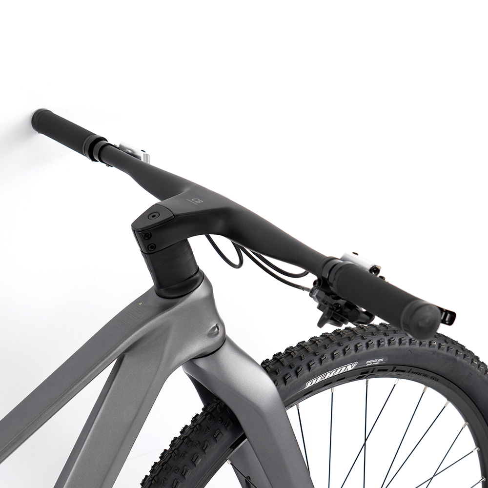 Premium Carbon Mountain Bike w - Mountain Biking Gear avis et prix